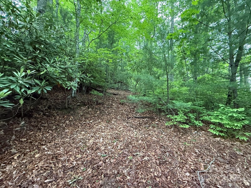 TBD Blueberry Trl #14, Lake Toxaway, NC 28747