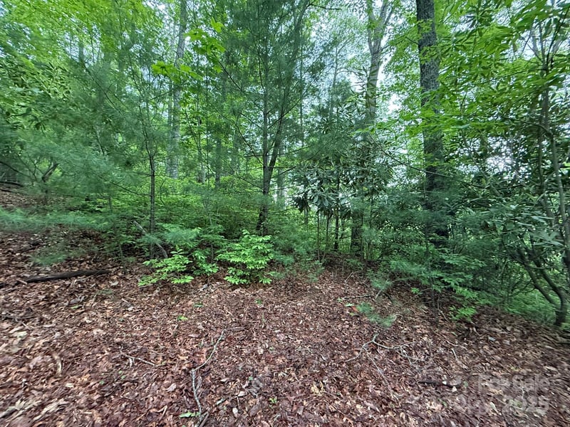 TBD Blueberry Trl #14, Lake Toxaway, NC 28747