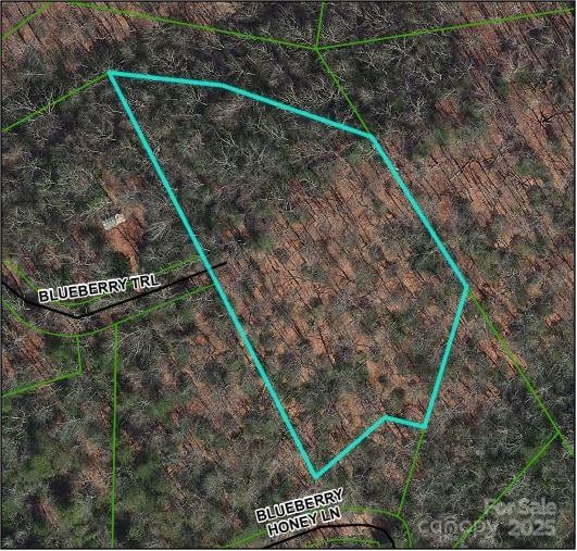 TBD Blueberry Trl #14, Lake Toxaway, NC 28747