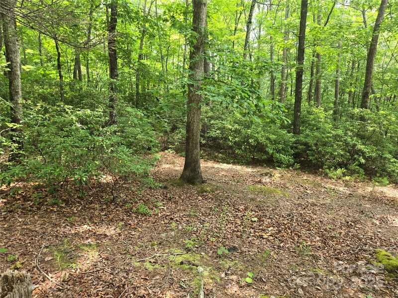 Lot 159 Sullivan Ln, Lake Lure, NC 28746