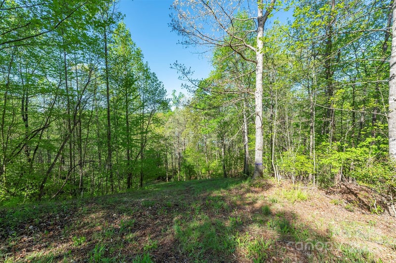 000 Thousand Oaks Dr, Old Fort, NC 28752