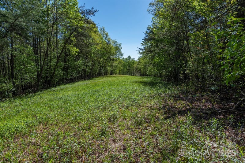 000 Thousand Oaks Dr, Old Fort, NC 28752