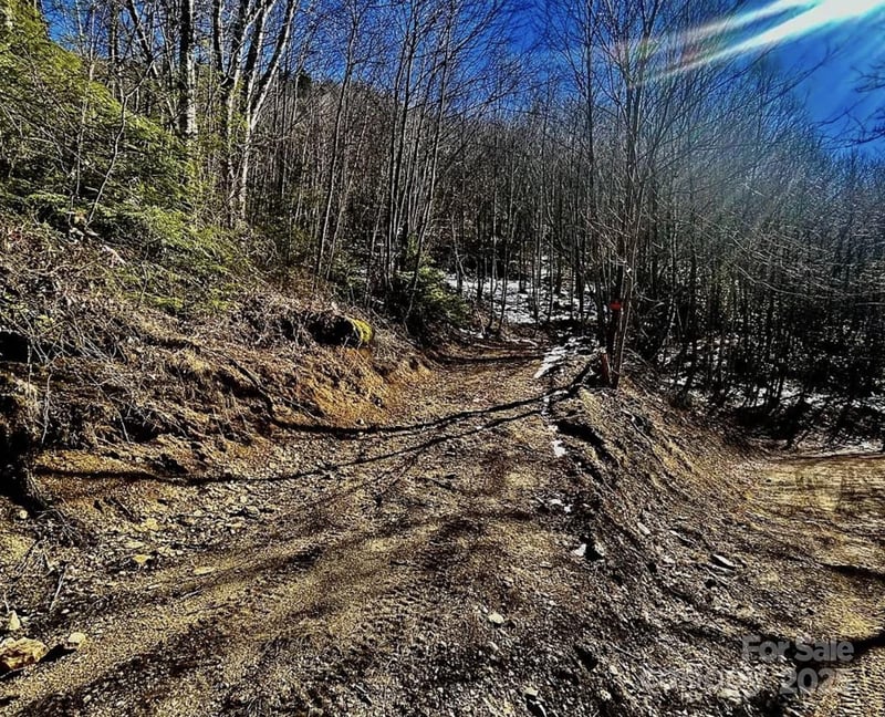 3689 Plott Balsam Rd, Maggie Valley, NC 28779