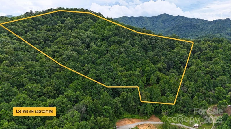 0000 Wayward Cv #18, Clyde, NC 28721