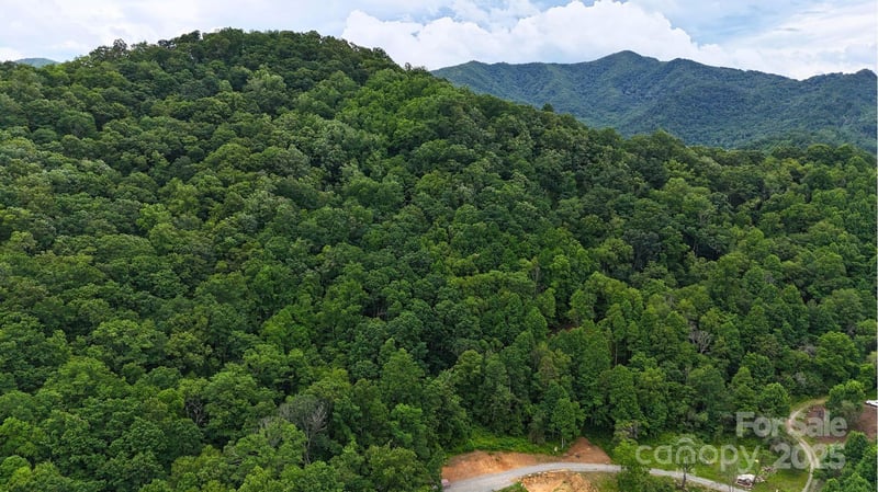 0000 Wayward Cv #18, Clyde, NC 28721