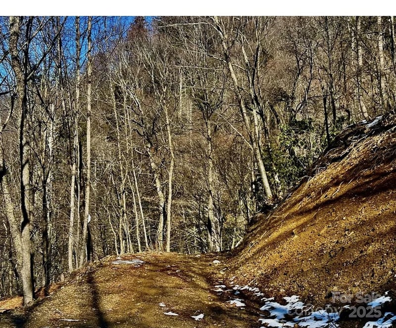 3837 Plott Balsam Rd #58, Maggie Valley, NC 28779