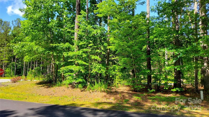 0000 Loblolly Ln #24/23/22, Mill Spring, NC 28756