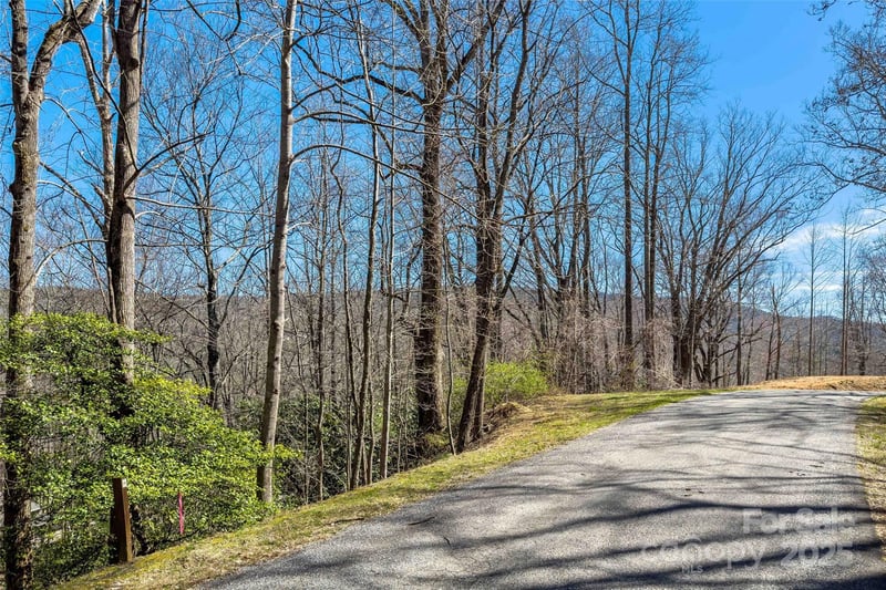 Hunnicut Mountain Rd, Marion, NC 28752