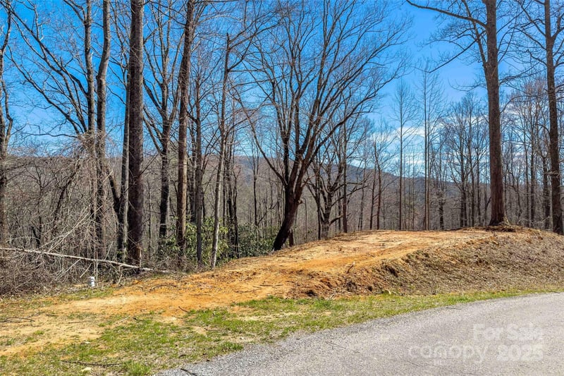 Hunnicut Mountain Rd, Marion, NC 28752