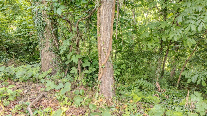 99999 Westchester Dr, Asheville, NC 28803