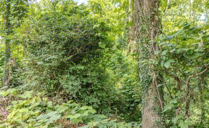 99999 Westchester Dr, Asheville, NC 28803