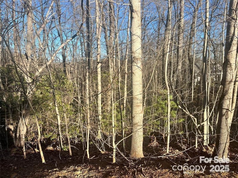 129 Pinnacle Peak Ln, Flat Rock, NC 28731