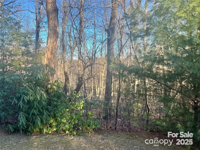 129 Pinnacle Peak Ln, Flat Rock, NC 28731