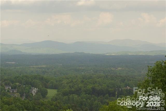 000 Roxworth Ct, Flat Rock, NC 28731