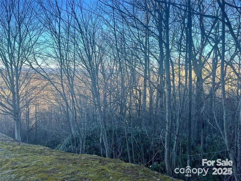 000 Roxworth Ct, Flat Rock, NC 28731