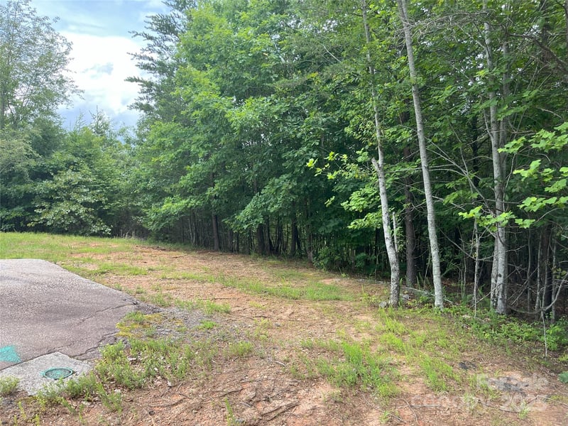 00 Deep Gap Rd #59, Mill Spring, NC 28756