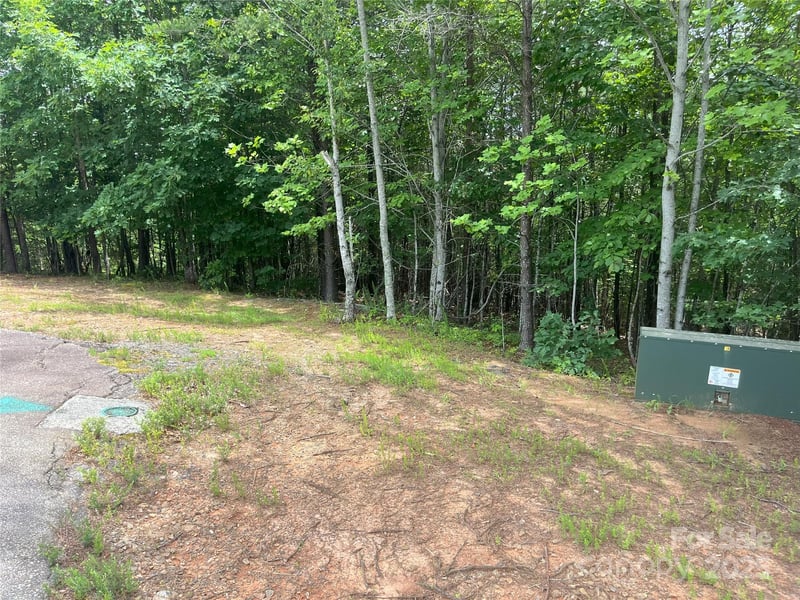 00 Deep Gap Rd #59, Mill Spring, NC 28756