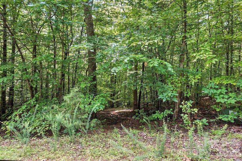 6 Hager Mountain Ln, Iron Station, NC 28080