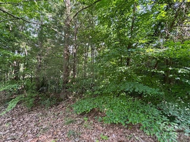 00 Hilltop Dr #13, Statesville, NC 28625