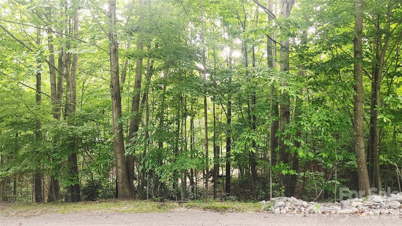 9999 Red Bud Ln #13, Laurel Park, NC 28739