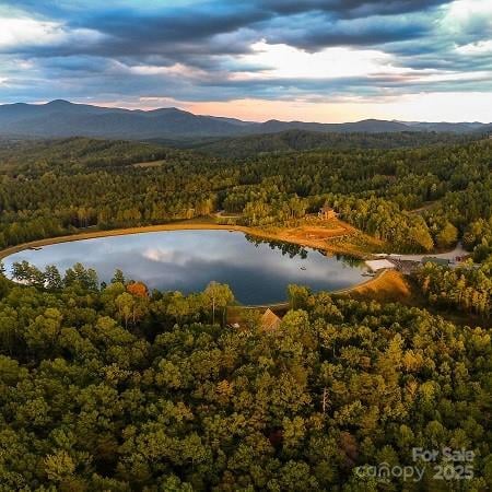 Scenic Vista Dr #262, Nebo, NC 28761
