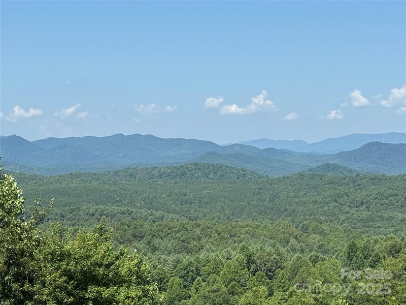 Scenic Vista Dr #262, Nebo, NC 28761