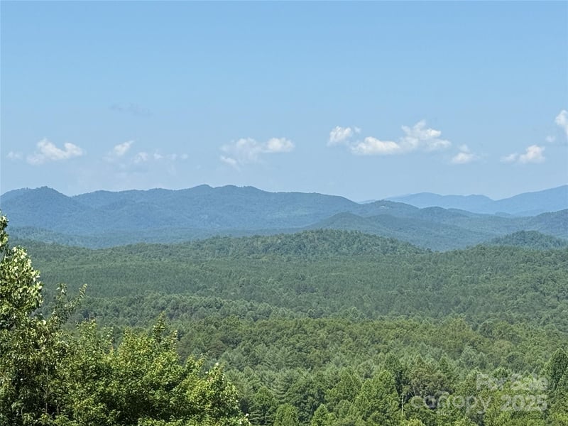 Scenic Vista Dr #262, Nebo, NC 28761