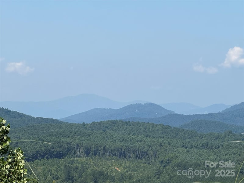 Scenic Vista Dr #262, Nebo, NC 28761