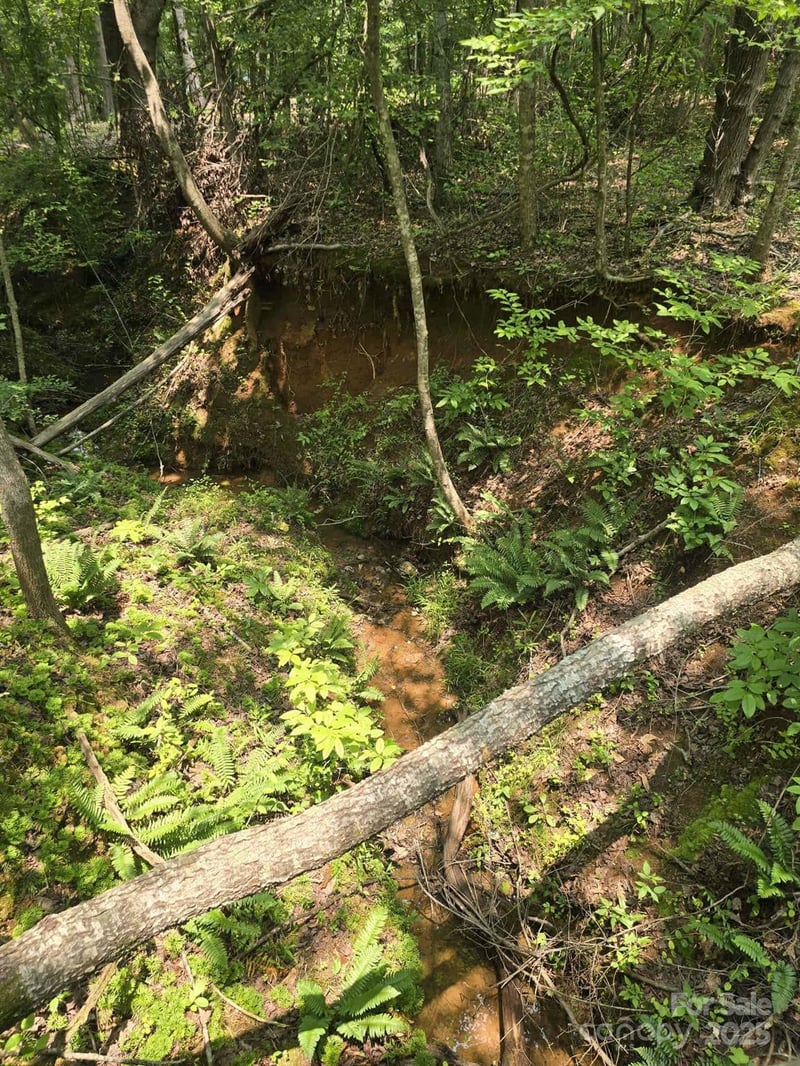 Lot 10 State Line Rd #10, Mooresboro, NC 28114