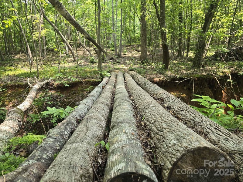 Lot 10 State Line Rd #10, Mooresboro, NC 28114
