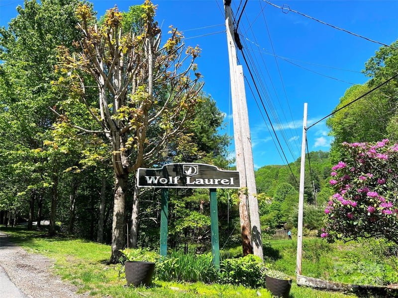 TBD Goldenleaf Rd #74, Mars Hill, NC 28754