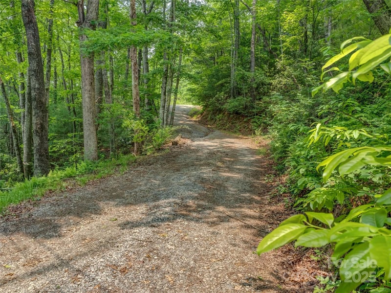 0000 Israel Rd, Brevard, NC 28712