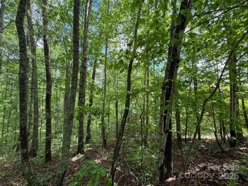 99999 Morning Star Dr Lot 13, Leicester, NC 28748