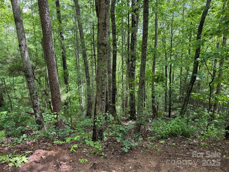 99999 Morning Star Dr Lot 13, Leicester, NC 28748