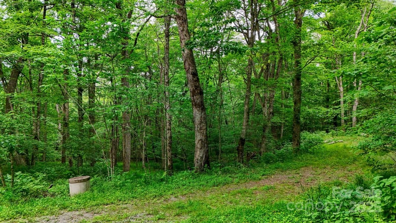 233 Woodland Springs Trl #14, Boone, NC 28607