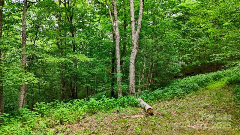 233 Woodland Springs Trl #14, Boone, NC 28607