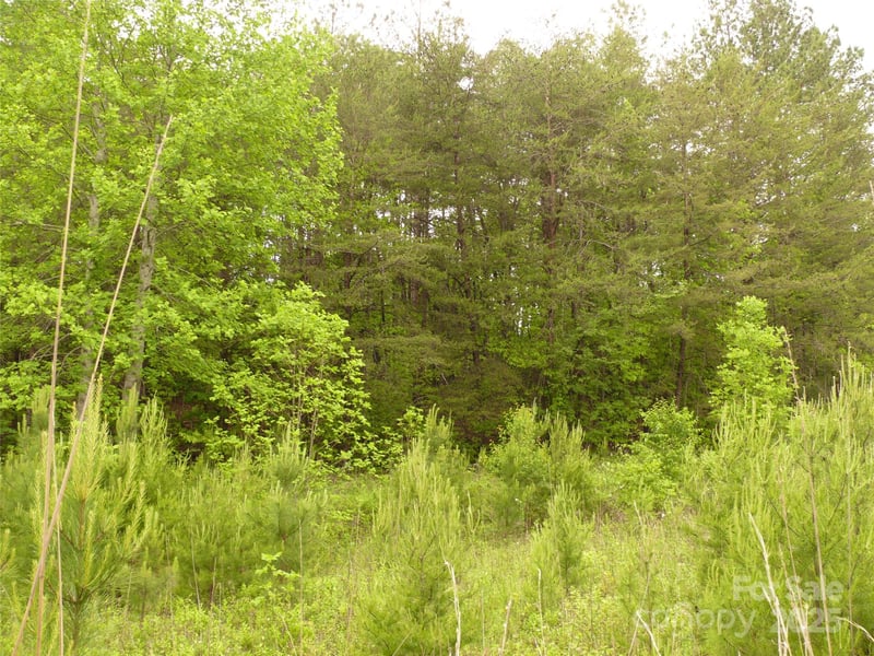 Lot 14 Vineyards Way, Lake Lure, NC 28746