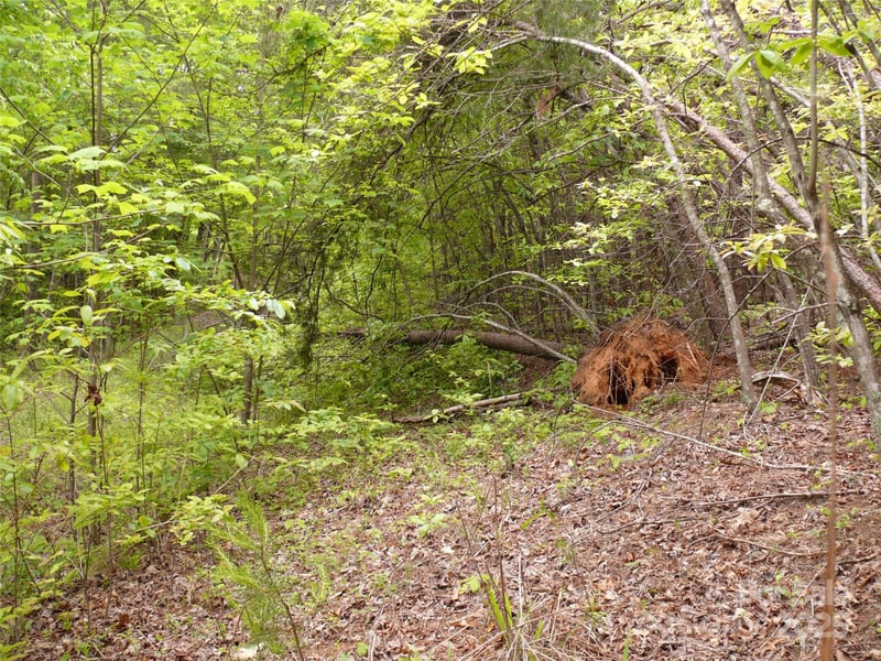 Lot 14 Vineyards Way, Lake Lure, NC 28746