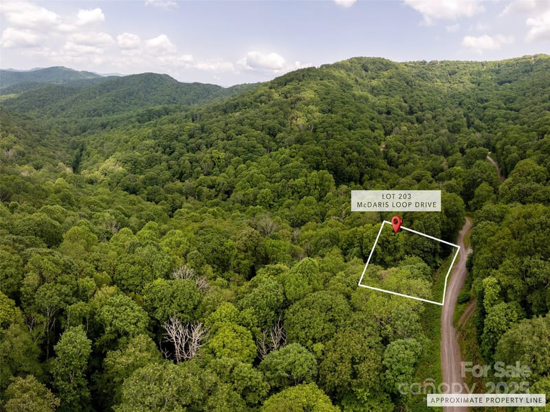000 Mcdaris Loop Dr #203, Mars Hill, NC 28754
