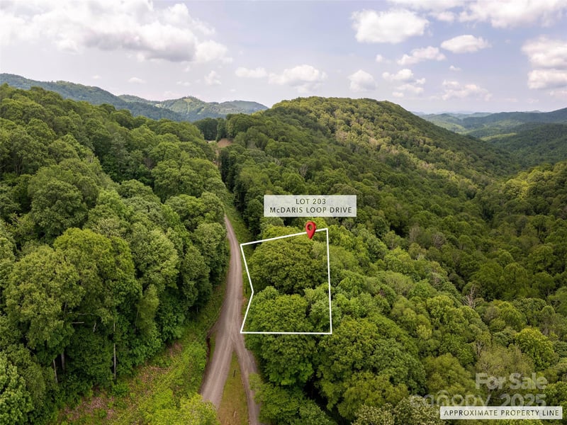 000 Mcdaris Loop Dr #203, Mars Hill, NC 28754