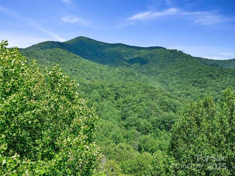 Lotties Creek Rd Lot 8, 39, 40, 41, 45, Burnsville, NC 28714
