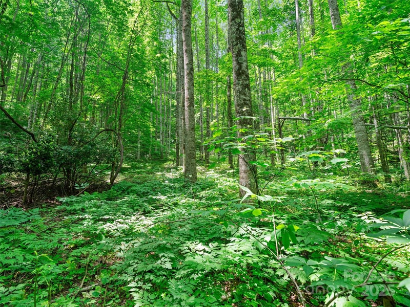 Lotties Creek Rd Lot s 19, 20, 23,25,26,27, Burnsville, NC 28714