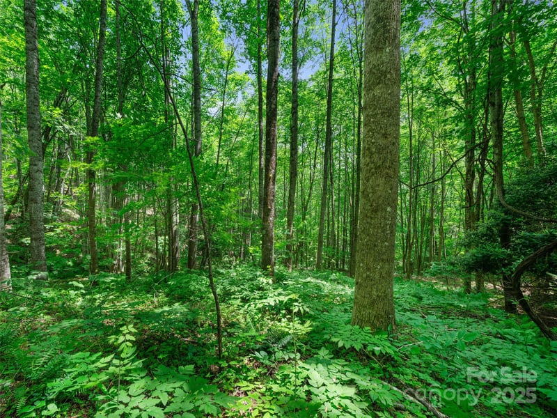 Lotties Creek Rd Lot s 19, 20, 23,25,26,27, Burnsville, NC 28714