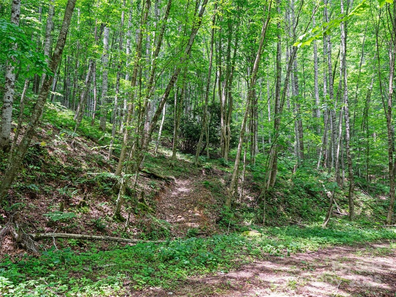 Lotties Creek Rd Lot s 19, 20, 23,25,26,27, Burnsville, NC 28714
