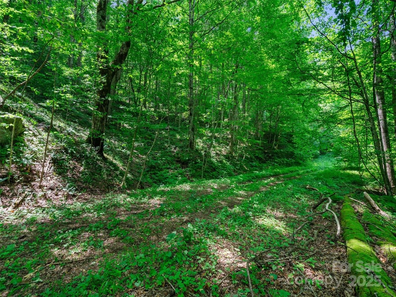 Lotties Creek Rd Lot s 37, 42, Burnsville, NC 28714