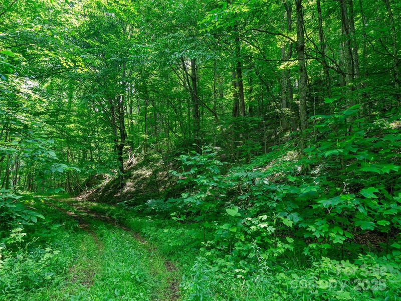 Lotties Creek Rd Lot s 37, 42, Burnsville, NC 28714