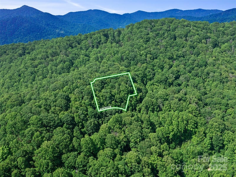 Lotties Creek Rd Lot s 37, 42, Burnsville, NC 28714