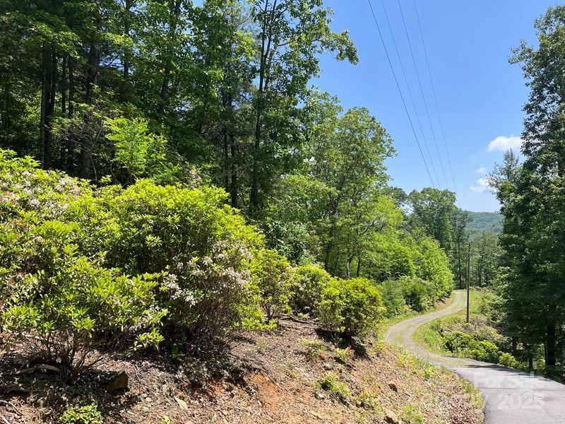 0000 Humpback Mountain Rd, Spruce Pine, NC 28777