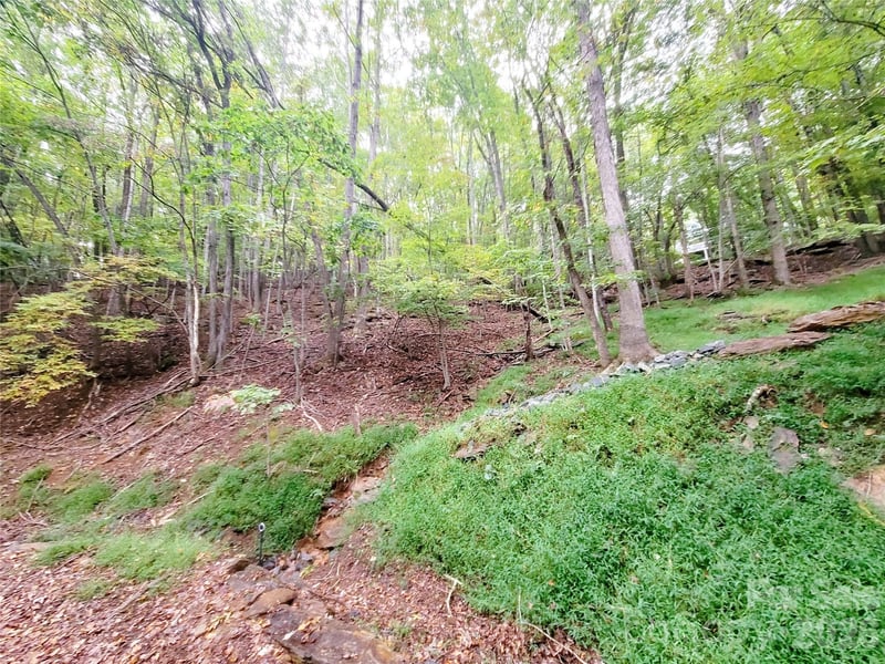 47 Sourwood Dr #197, Mills River, NC 28759