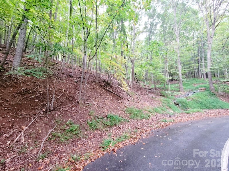 47 Sourwood Dr #197, Mills River, NC 28759